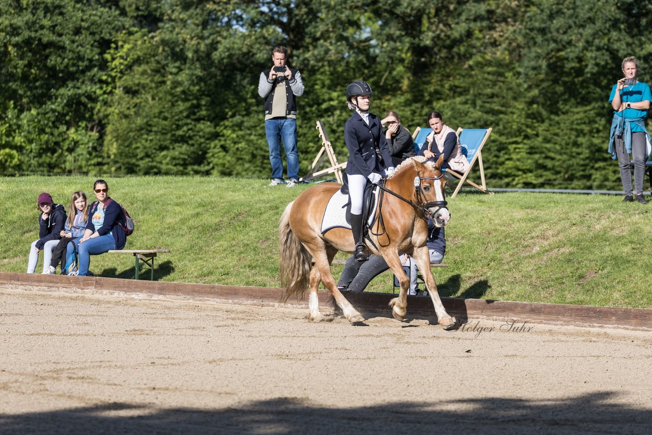 Bild 43 - Pony Akademie Turnier